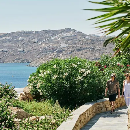 Myconian Imperial - Leading Of The World Elia (Mykonos)