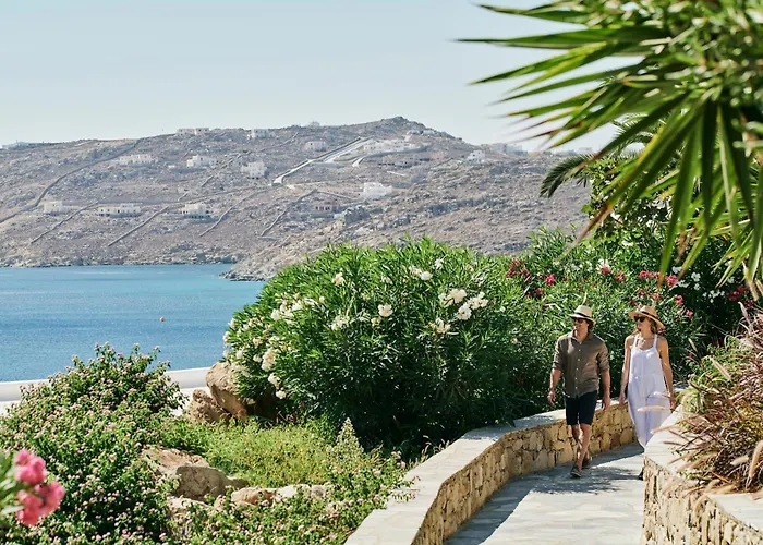 Myconian Imperial - Leading Of The World Elia (Mykonos)